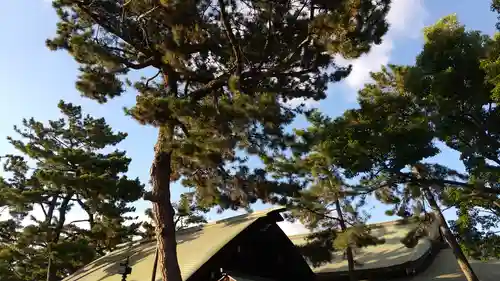 住吉大社のその他建物