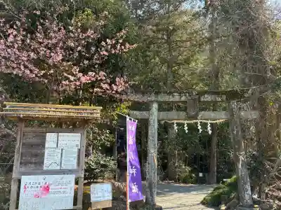 瀧川神社の{uncategorized: "未分類", other: "その他", undefined: "問題あり", building: "その他建物", grave: "お墓", sacred_gate: "鳥居", guardian: "狛犬", statue: "像", buddha: "仏像", history: "歴史", nature: "自然", garden: "庭園", animal: "動物", pagoda: "塔", temizu: "手水舎", mountain_gate: "山門・神門", sanctuary: "本殿・本堂", subordinate: "末社・摂社", art: "芸術", scenery: "景色", jizo: "地蔵", ema: "絵馬", goshuin: "御朱印", omikuji: "おみくじ", items: "授与品その他", amulet: "お守り", goshuincho: "御朱印帳", eats: "食事", festival: "お祭り", votive_dance: "神楽", shichigosan: "七五三参", wedding: "結婚式", experience: "体験その他", initially: "初詣", around: "周辺", anti_infection: "感染症対策"}