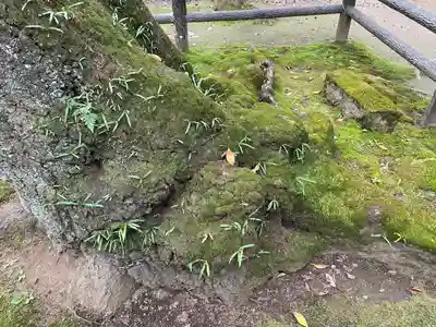 仙波東照宮(埼玉県)