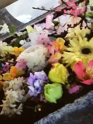 鳩森八幡神社(東京都)