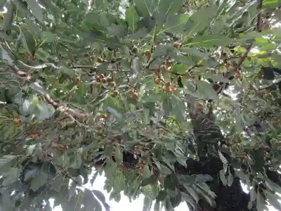 万松院(長崎県)