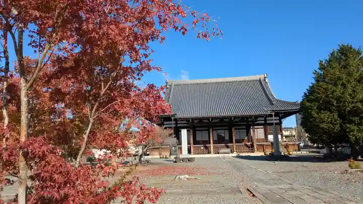 妙覺寺(妙覚寺)(京都府)