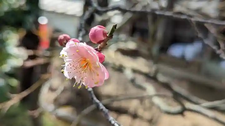 法輪寺(東京都)