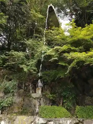 善峯寺(京都府)