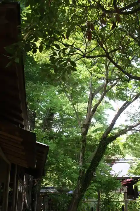 梨木神社(京都府)