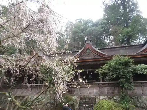 吉野水分神社の本殿