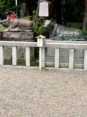 長岡天満宮の狛犬