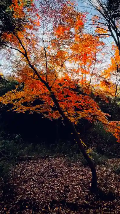 浄居寺(山梨県)