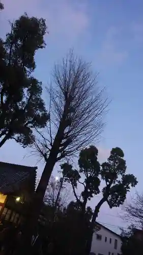 溝旗神社（肇國神社）の景色