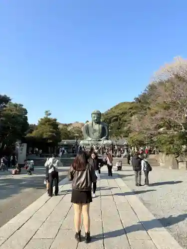 高徳院の{uncategorized: "未分類", other: "その他", undefined: "問題あり", building: "その他建物", grave: "お墓", sacred_gate: "鳥居", guardian: "狛犬", statue: "像", buddha: "仏像", history: "歴史", nature: "自然", garden: "庭園", animal: "動物", pagoda: "塔", temizu: "手水舎", mountain_gate: "山門・神門", sanctuary: "本殿・本堂", subordinate: "末社・摂社", art: "芸術", scenery: "景色", jizo: "地蔵", ema: "絵馬", goshuin: "御朱印", omikuji: "おみくじ", items: "授与品その他", amulet: "お守り", goshuincho: "御朱印帳", eats: "食事", festival: "お祭り", votive_dance: "神楽", shichigosan: "七五三参", wedding: "結婚式", experience: "体験その他", initially: "初詣", around: "周辺", anti_infection: "感染症対策"}