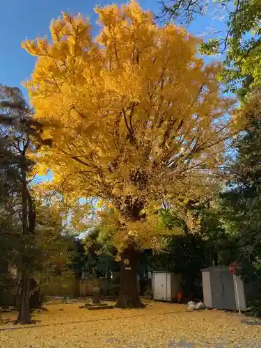 最勝寺教学院(東京都)