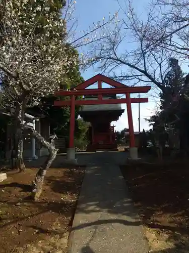 芝山仁王尊 観音教寺の鳥居