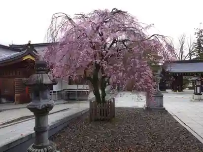 速谷神社(広島県)