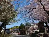 大平八幡宮の自然