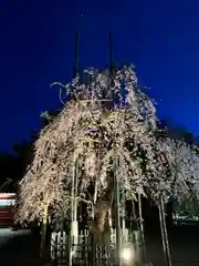 大國魂神社(東京都)