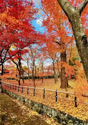 真正極楽寺（真如堂）の庭園