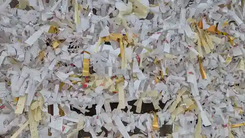 旭川神社のおみくじ