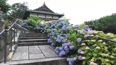 柳谷観音　楊谷寺のその他建物