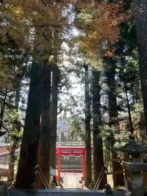 須山浅間神社の鳥居