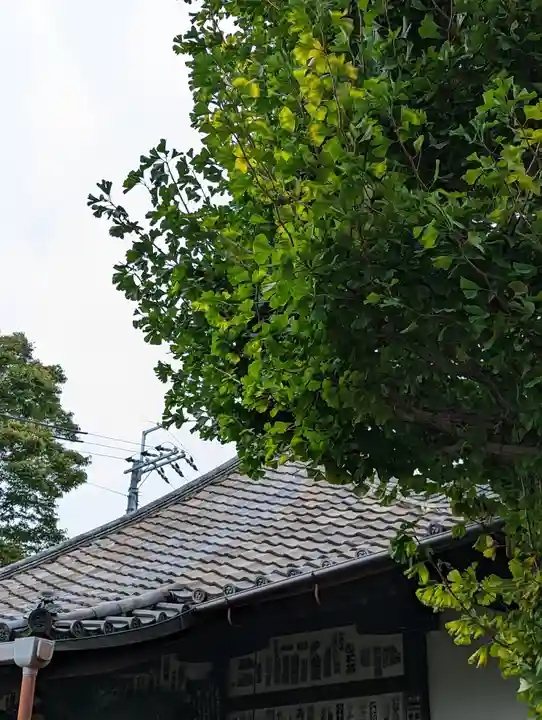 元慶寺(京都府)