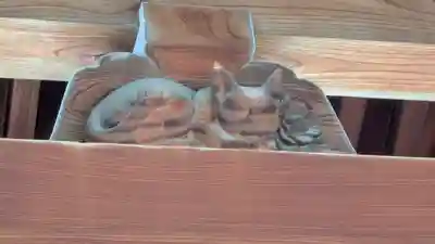 四天王寺(大阪府)