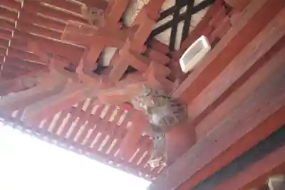 不動院(板橋不動尊)の本殿・本堂