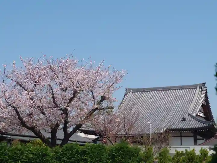 龍前院(神奈川県)