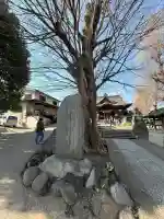 滝野川八幡神社の{uncategorized: "未分類", other: "その他", undefined: "問題あり", building: "その他建物", grave: "お墓", sacred_gate: "鳥居", guardian: "狛犬", statue: "像", buddha: "仏像", history: "歴史", nature: "自然", garden: "庭園", animal: "動物", pagoda: "塔", temizu: "手水舎", mountain_gate: "山門・神門", sanctuary: "本殿・本堂", subordinate: "末社・摂社", art: "芸術", scenery: "景色", jizo: "地蔵", ema: "絵馬", goshuin: "御朱印", omikuji: "おみくじ", items: "授与品その他", amulet: "お守り", goshuincho: "御朱印帳", eats: "食事", festival: "お祭り", votive_dance: "神楽", shichigosan: "七五三参", wedding: "結婚式", experience: "体験その他", initially: "初詣", around: "周辺", anti_infection: "感染症対策"}