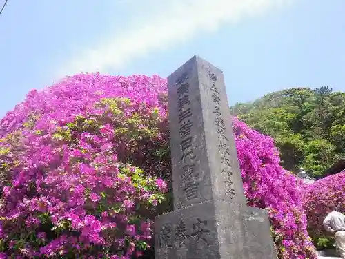 安養院　(田代寺）の自然