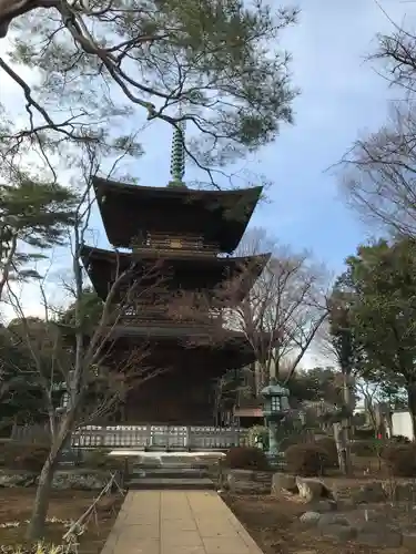 豪徳寺のその他建物