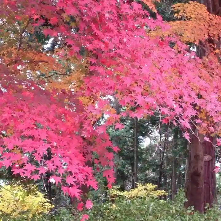 八幡神社(兵庫県)