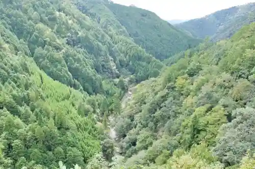 地藏院の景色