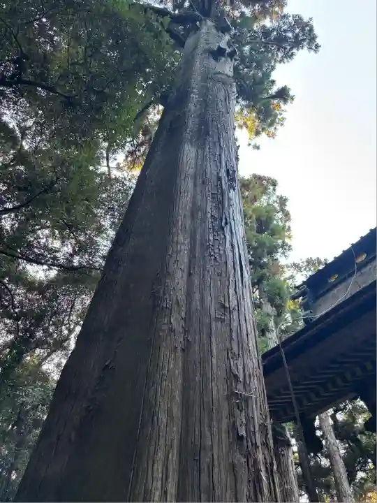 奥宮(鹿島神宮摂社)(茨城県)