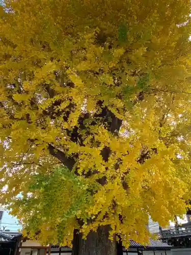 佛光寺(京都府)