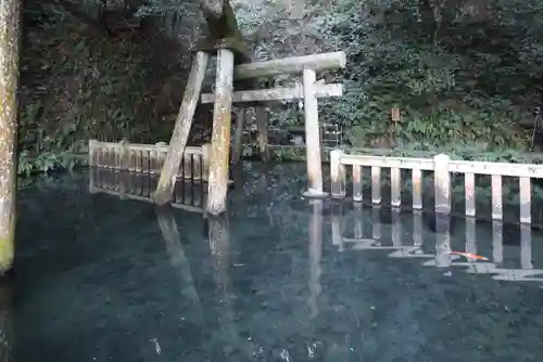 鹿島神宮(茨城県)