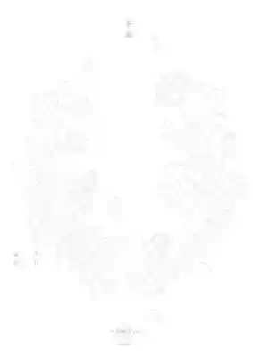 本照寺の体験その他