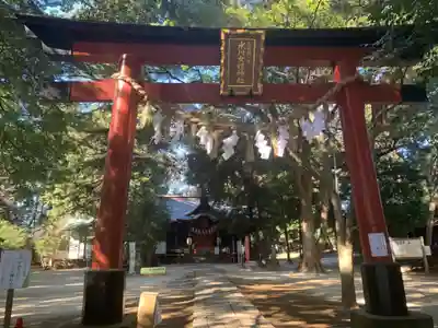 氷川女體神社の鳥居