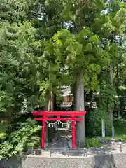 須山浅間神社(静岡県)