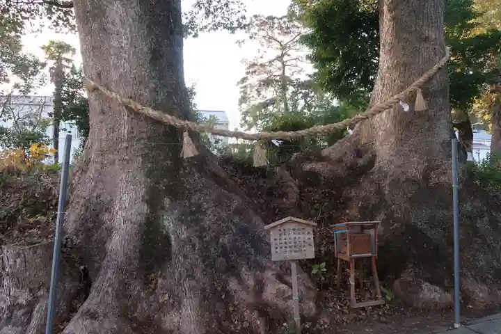 細江神社(静岡県)