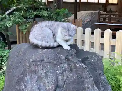 文殊院(東京都)