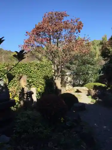 自音寺(群馬県)