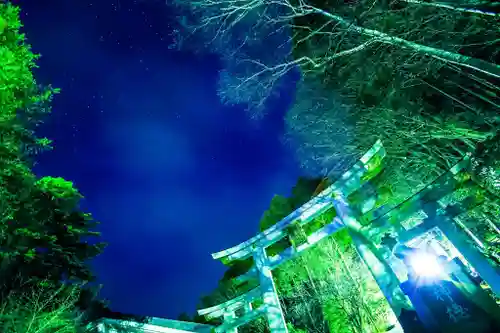 三峯神社(埼玉県)