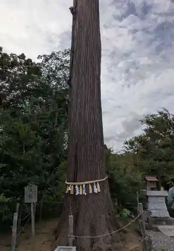 鶴峯八幡宮(千葉県)