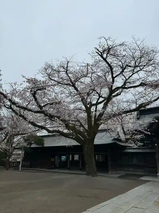 宇都宮二荒山神社(栃木県)