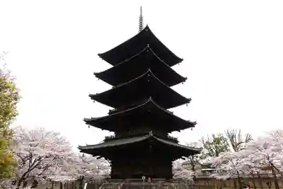 東寺（教王護国寺）(京都府)