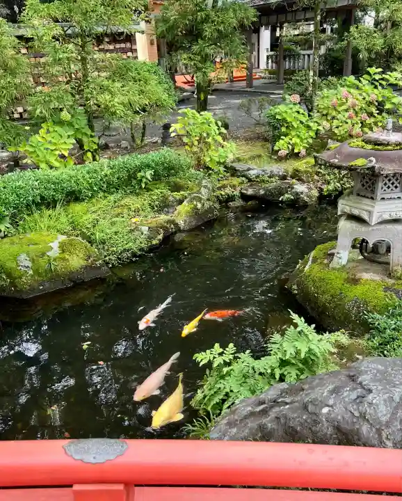 大井神社(静岡県)