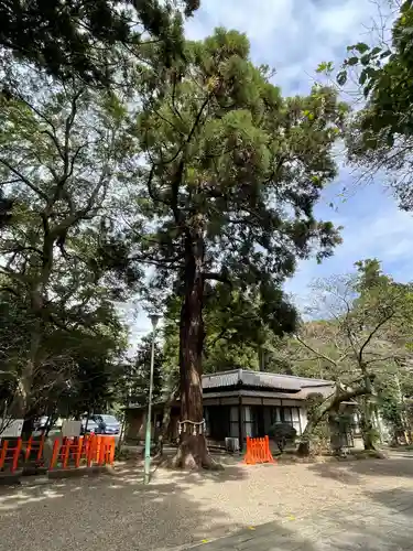 息栖神社のその他建物
