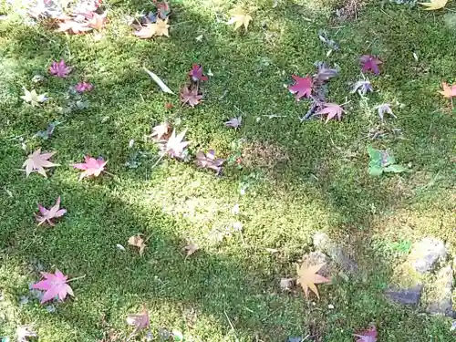 宝厳寺(滋賀県)