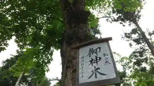 小御門神社の自然
