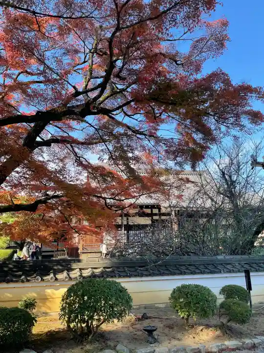 平等院(京都府)
